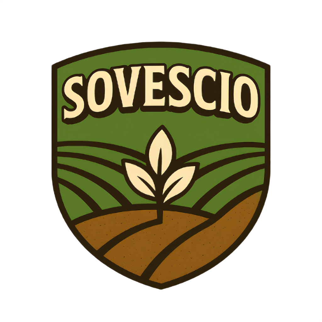 Logo FC Sovescio